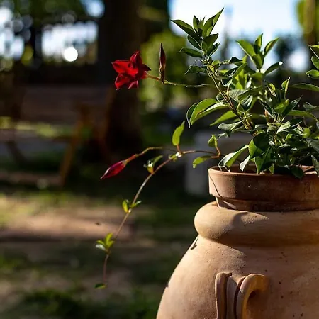 Casa vacanze Casaletto Ecologico
